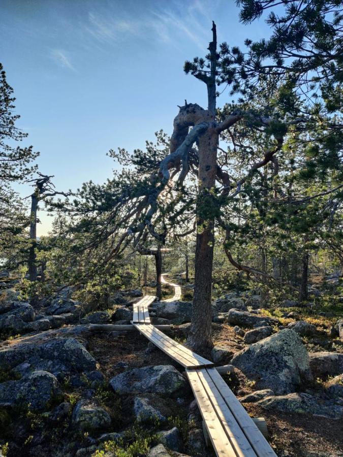 Aava Sky Village Aavasaksa Eksteriør billede